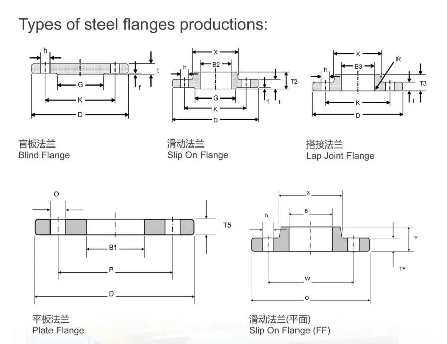 ASME B16.5 RF Forged Alloy Steel A182 F22 Pipe End Blind Flange