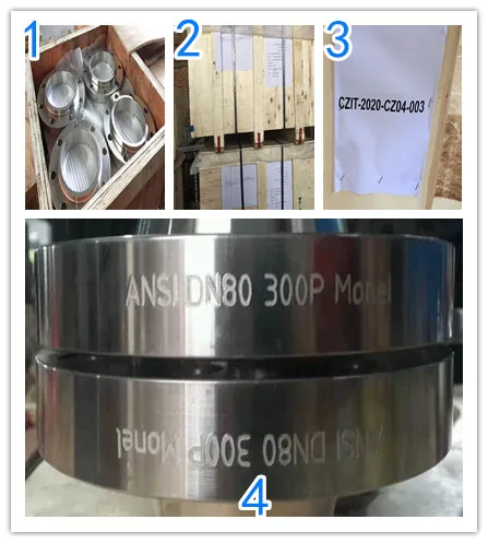 ASTM B16.5 Weld Neck Titanium Gr2, Gr5, Gr7, Gr9, Gr12, B381 B363 Titanium Pipe Flanges