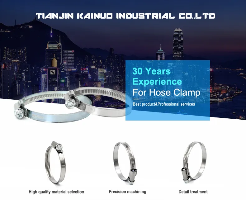 DIN3017 Non-Perforated Worm Gear Adjustable Welding German Type Hose Clip for Automotive, 12mm Bandwidth, 25-40mm