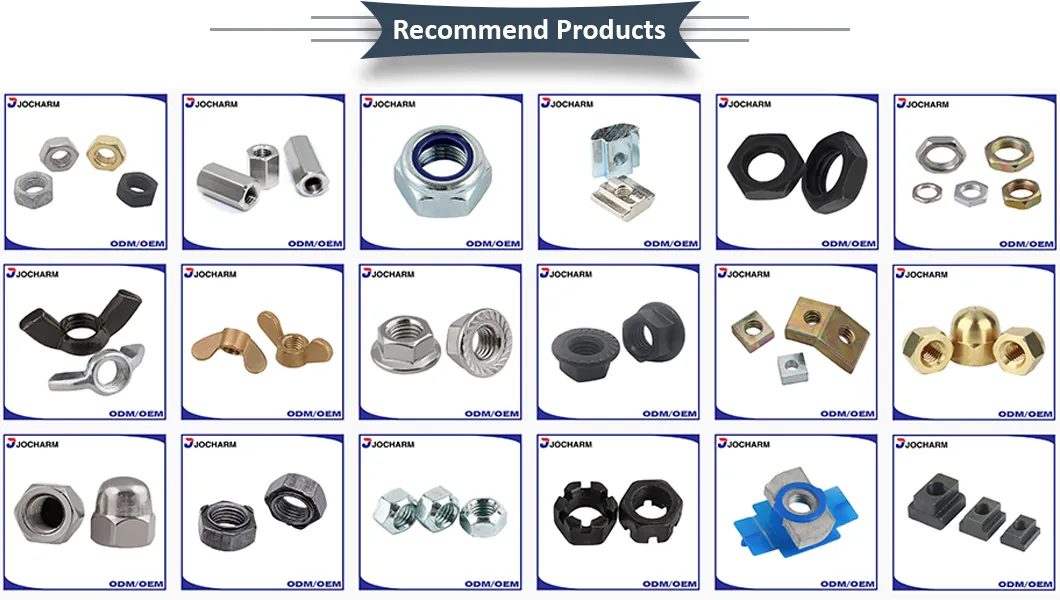 DIN557 Precise Stainless Steel Square Nut Fastener