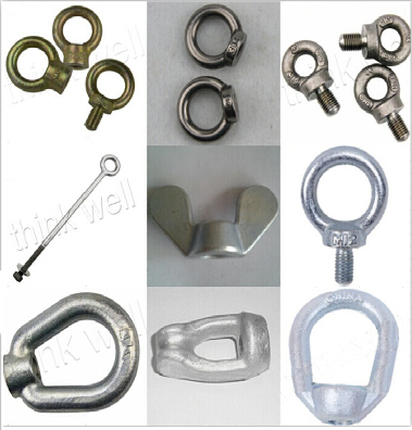 Drop Forged Hot DIP Galvanized G400 Eye Nut