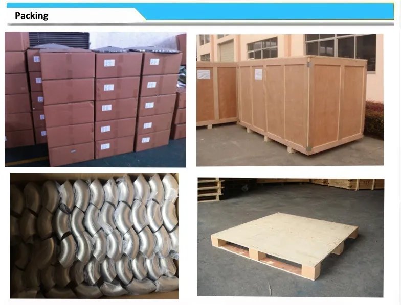 F304 F304L F316L Stainless Steel Forged Pipe Fitting Flange