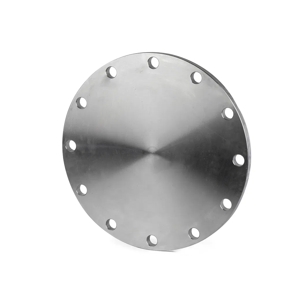 F304/ F316 JIS B 2220/ JIS B 2238 DN100 DN150 Plain Weld Flange