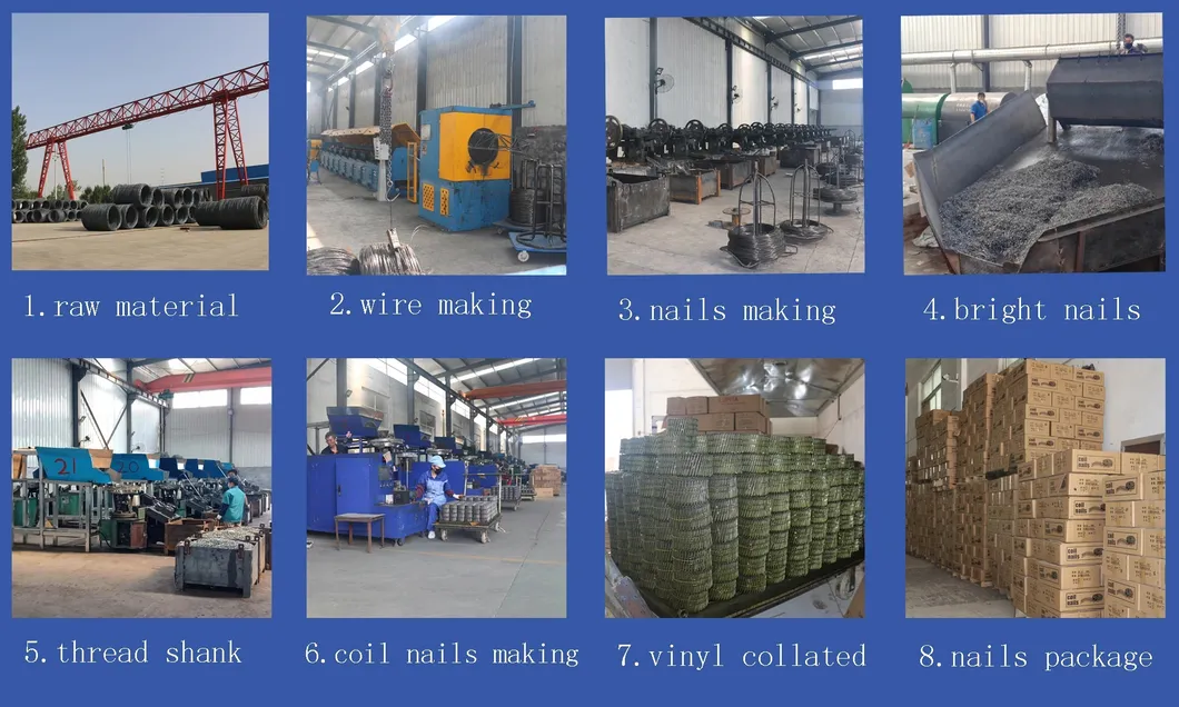 Factory Direct Coil Nail for Wood Pallet