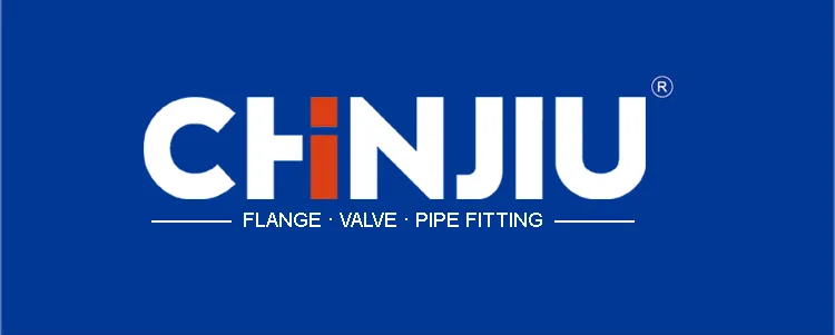 Flange BS4504 Pn16 Plate RF Stainless Steel 304 316