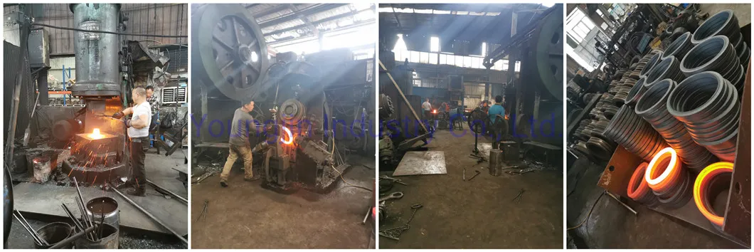 Forging Stainless Steel Flange Lj