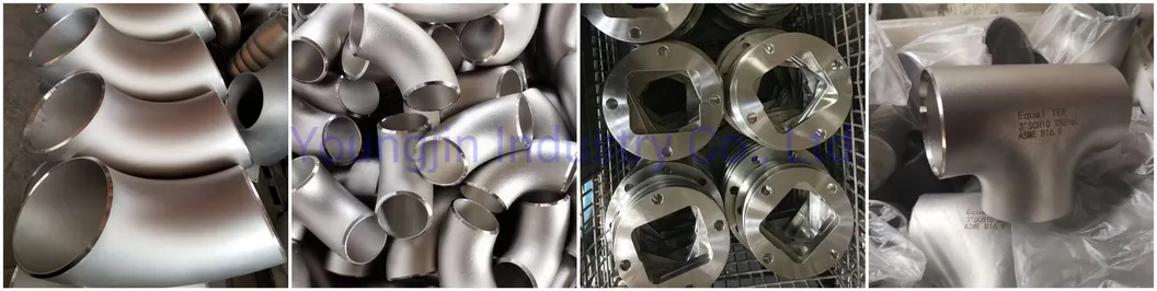 Forging Stainless Steel Flange Lj