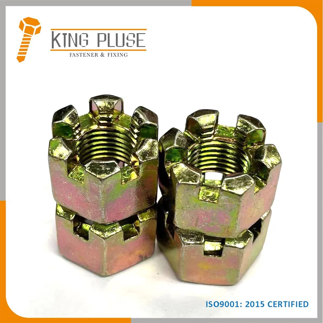 Hex Slotted Nuts Castle Nuts DIN935 Stainless Steel
