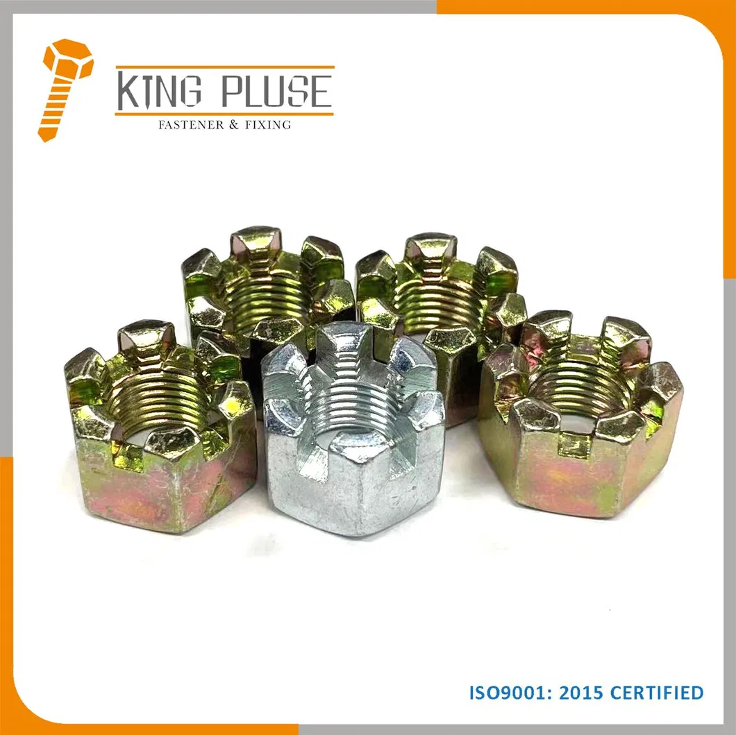 Hex Slotted Nuts Castle Nuts DIN935 Stainless Steel