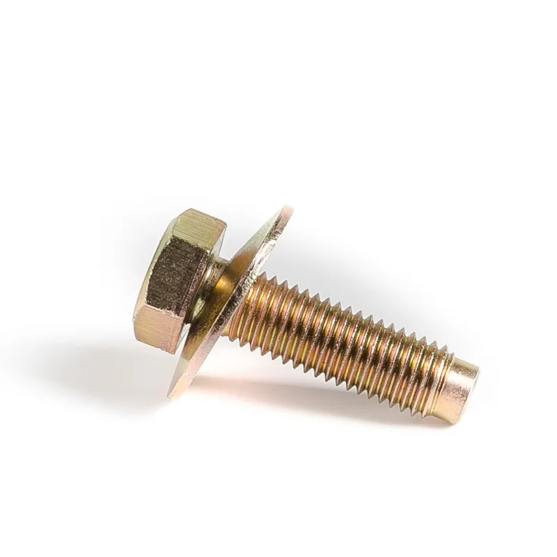 High Precise SS316 M10 Big Head Bolt Set