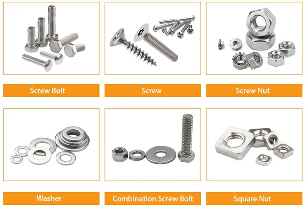 Hot DIP Galvanized Square Neck Bolts Mushroom Head Highway Guardrail Bolt and Nut
