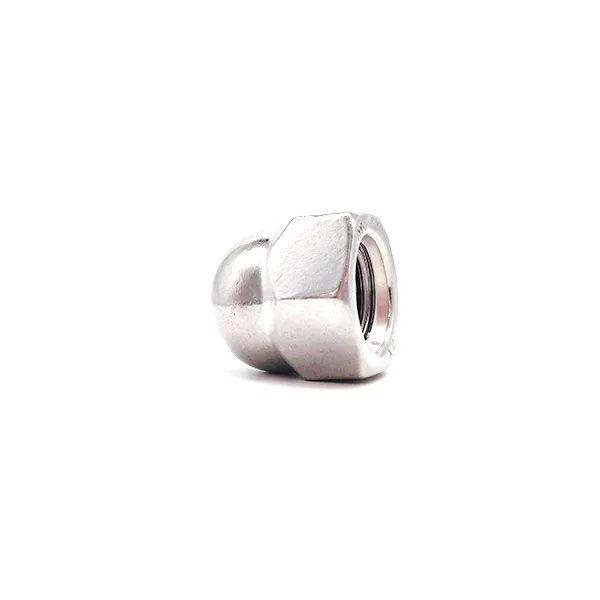 Stainless Steel 304 316 Hexagon Cap Nuts DIN917