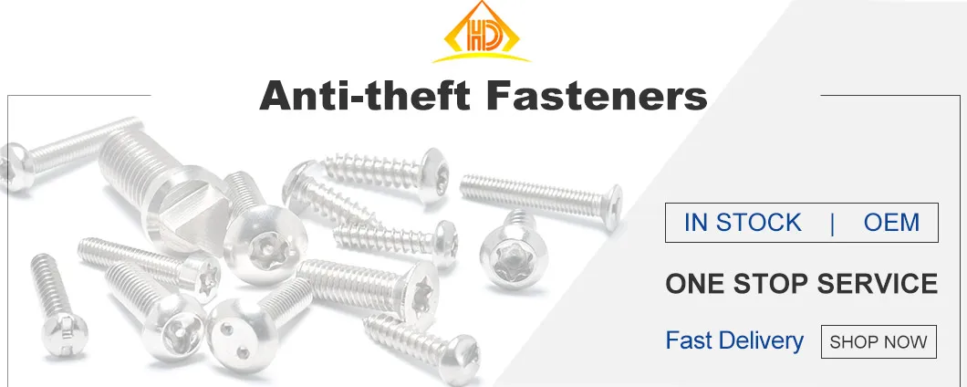 Stainless Steel 304 Pan Head St4.2 Torx Pin Self Tapping Screw Security Screw