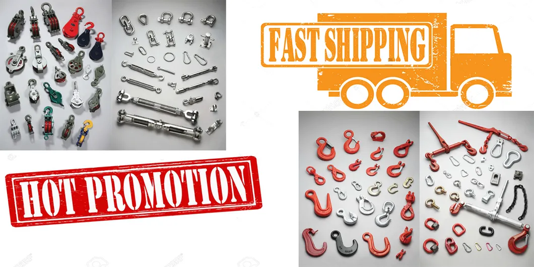 Stainless Steel DIN 582 Eye Nut