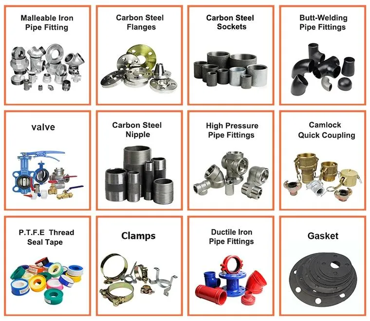 Universal Air Coupling Claw Coupling Hose End Hose Coupling (U. S. TYPE)